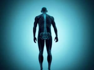 terms and conditions