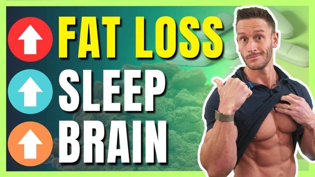 guide to intermittent fasting